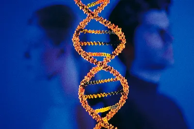 How DNA Testing Can Confirm Genealogical Connections