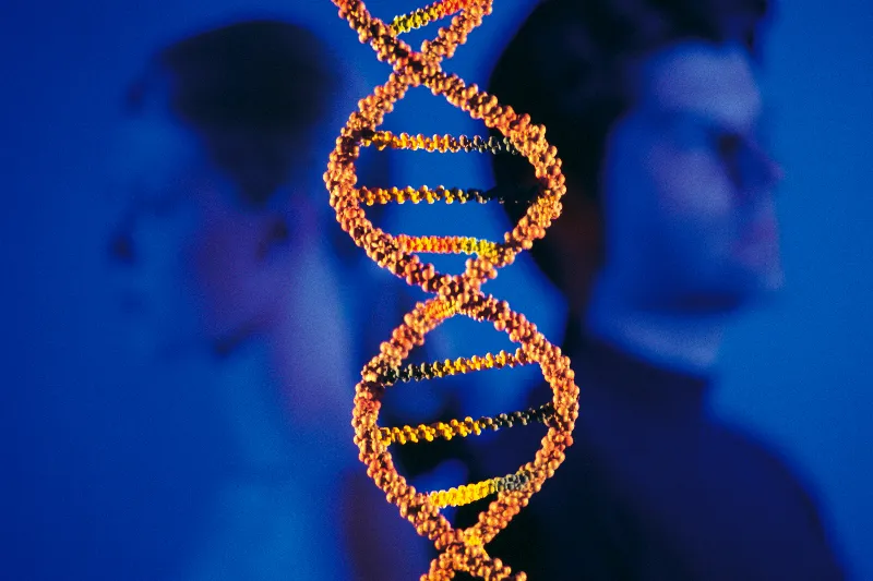 How DNA Testing Can Confirm Genealogical Connections