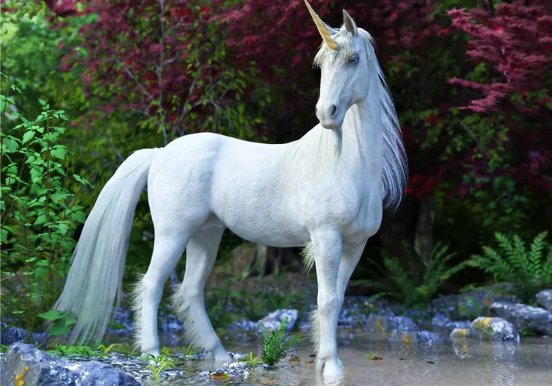 Discovering the Meaning Behind Unicorn, Dragon & Lion Symbols in Heraldry